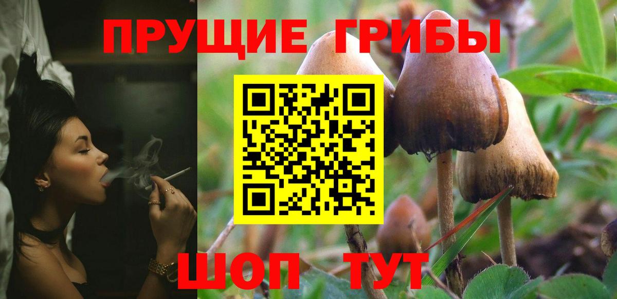 Миллерово  Галлюциногенные грибы мухоморы  Псилоцибиновые грибы ЛСД  Вход с VPN 