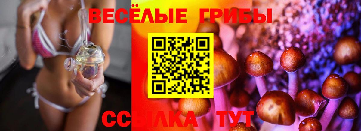 Псилоцибиновые грибы мицелий Миллерово